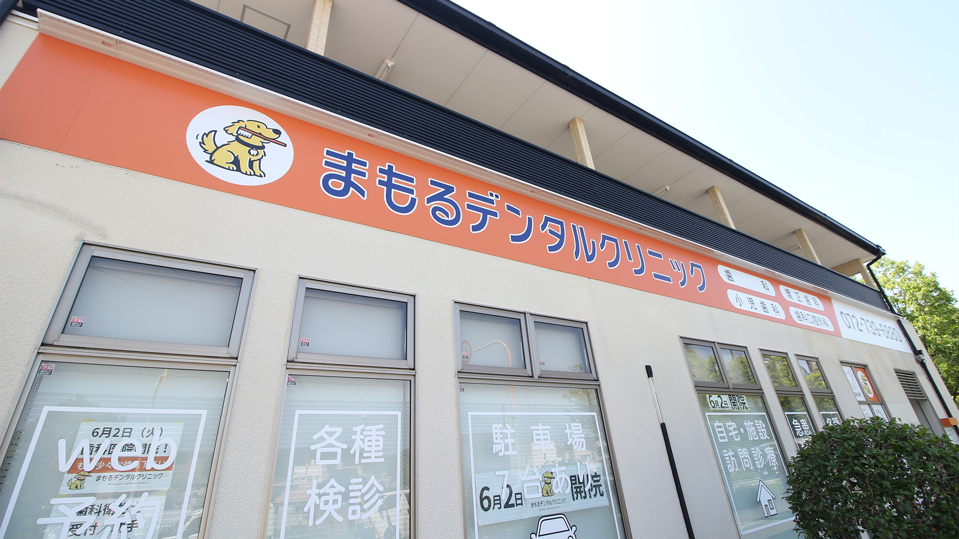 image (2)